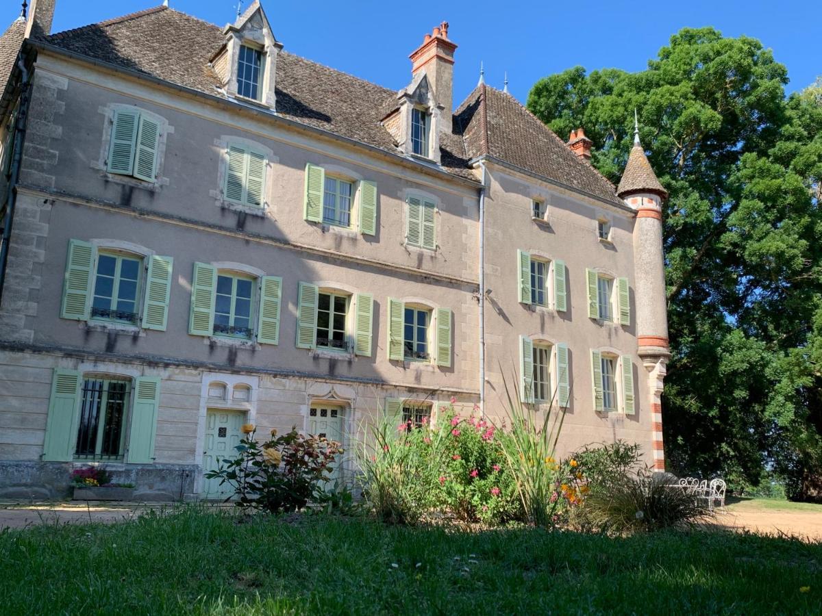 Chateau Du Mauny, Gites Et Chambres D'Hotes En Bourgogne Rosey Esterno foto