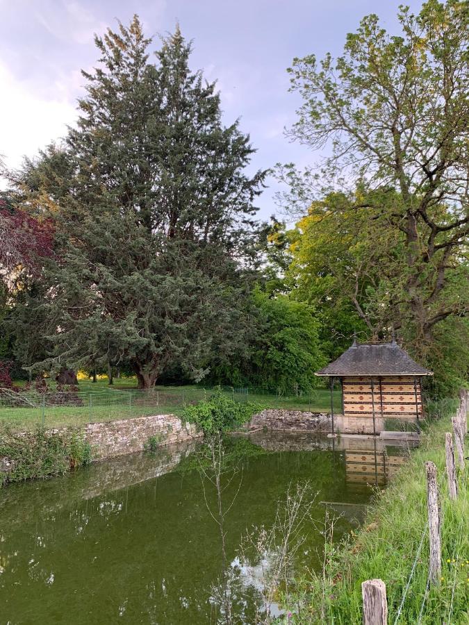 Chateau Du Mauny, Gites Et Chambres D'Hotes En Bourgogne Rosey Esterno foto