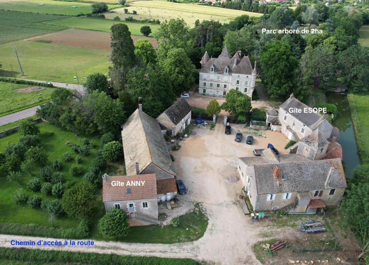 Chateau Du Mauny, Gites Et Chambres D'Hotes En Bourgogne Rosey Esterno foto