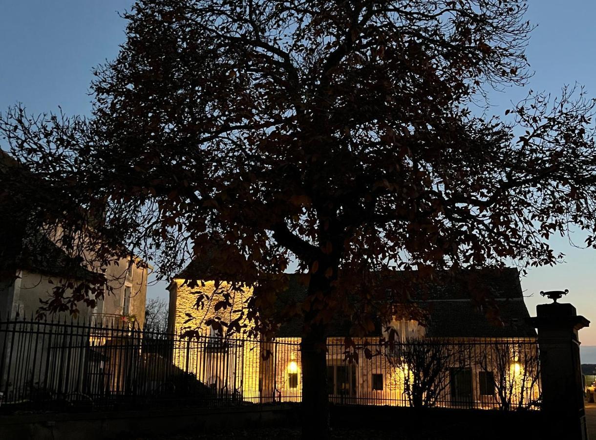 Chateau Du Mauny, Gites Et Chambres D'Hotes En Bourgogne Rosey Esterno foto