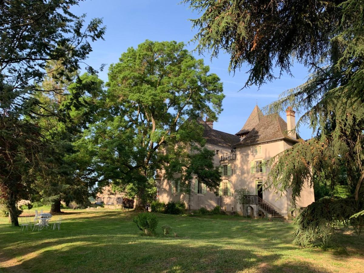 Chateau Du Mauny, Gites Et Chambres D'Hotes En Bourgogne Rosey Esterno foto