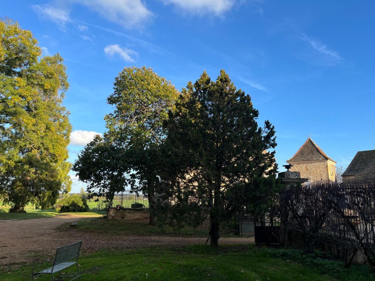 Chateau Du Mauny, Gites Et Chambres D'Hotes En Bourgogne Rosey Esterno foto