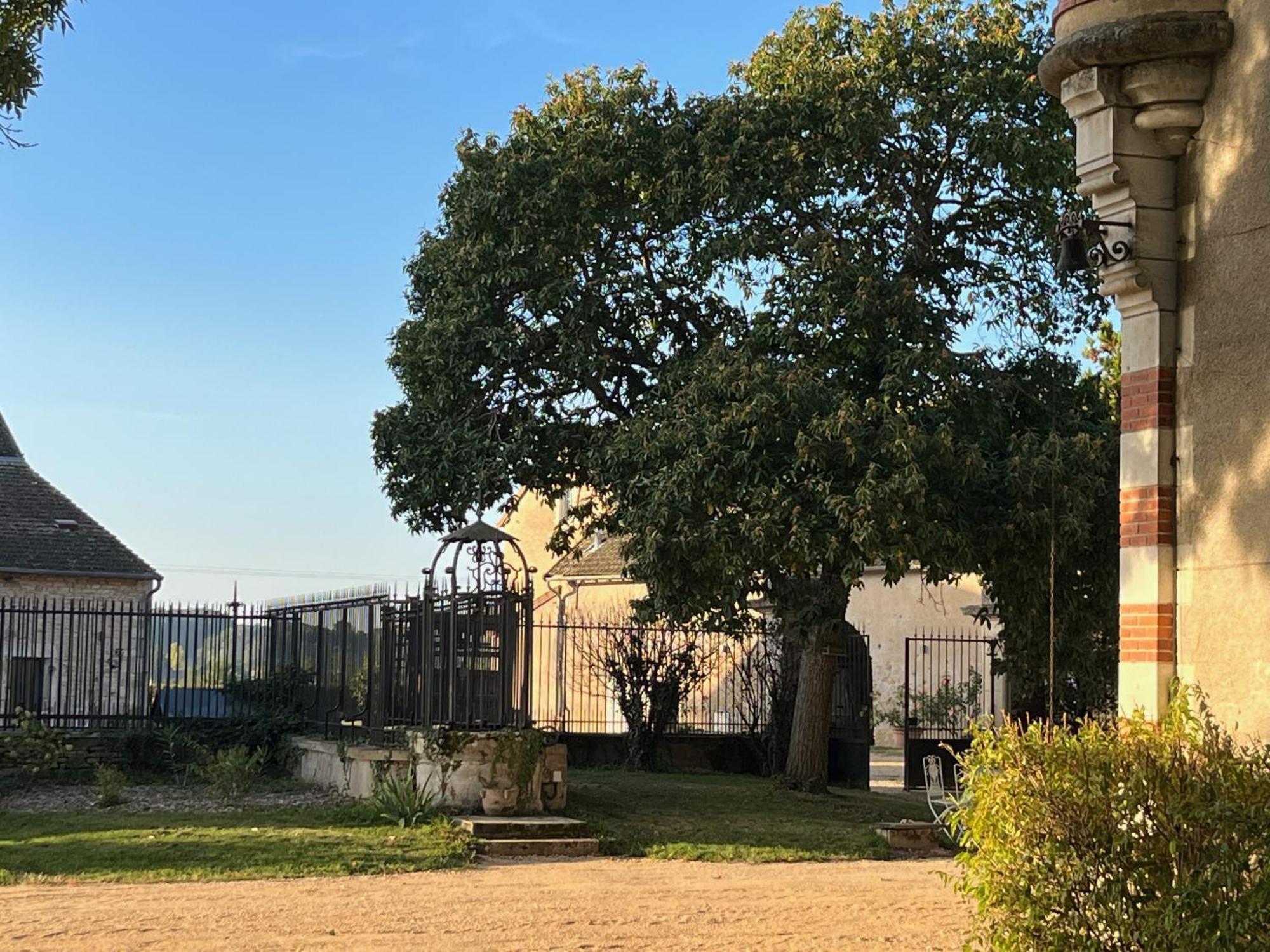 Chateau Du Mauny, Gites Et Chambres D'Hotes En Bourgogne Rosey Esterno foto