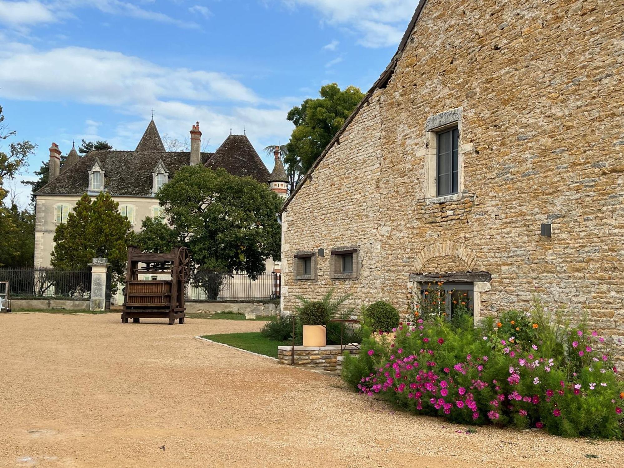 Chateau Du Mauny, Gites Et Chambres D'Hotes En Bourgogne Rosey Esterno foto